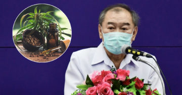 กัญชาทางการแพทย์3