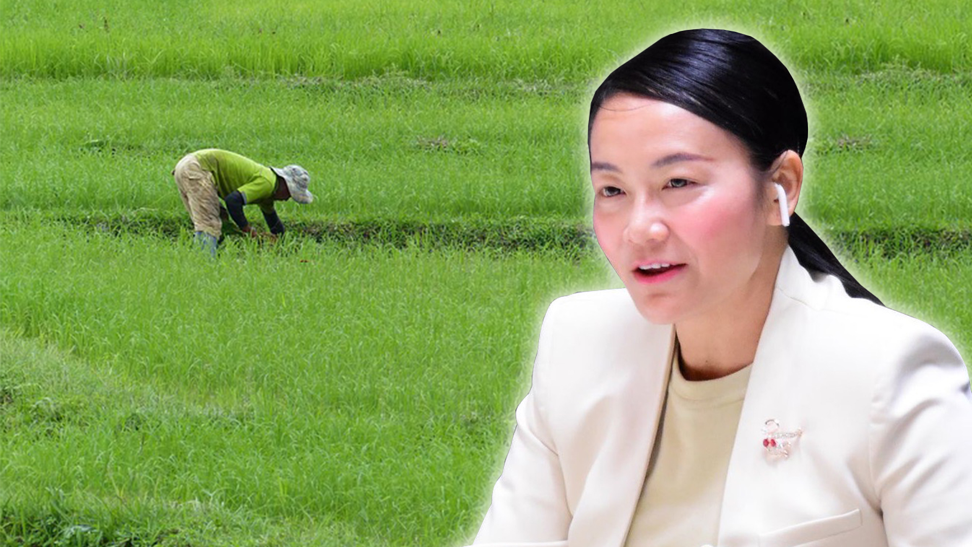 ส.ส. มัลลิกา แจงรัฐบาลเป็นเลิศด้าน มัลลิกา3