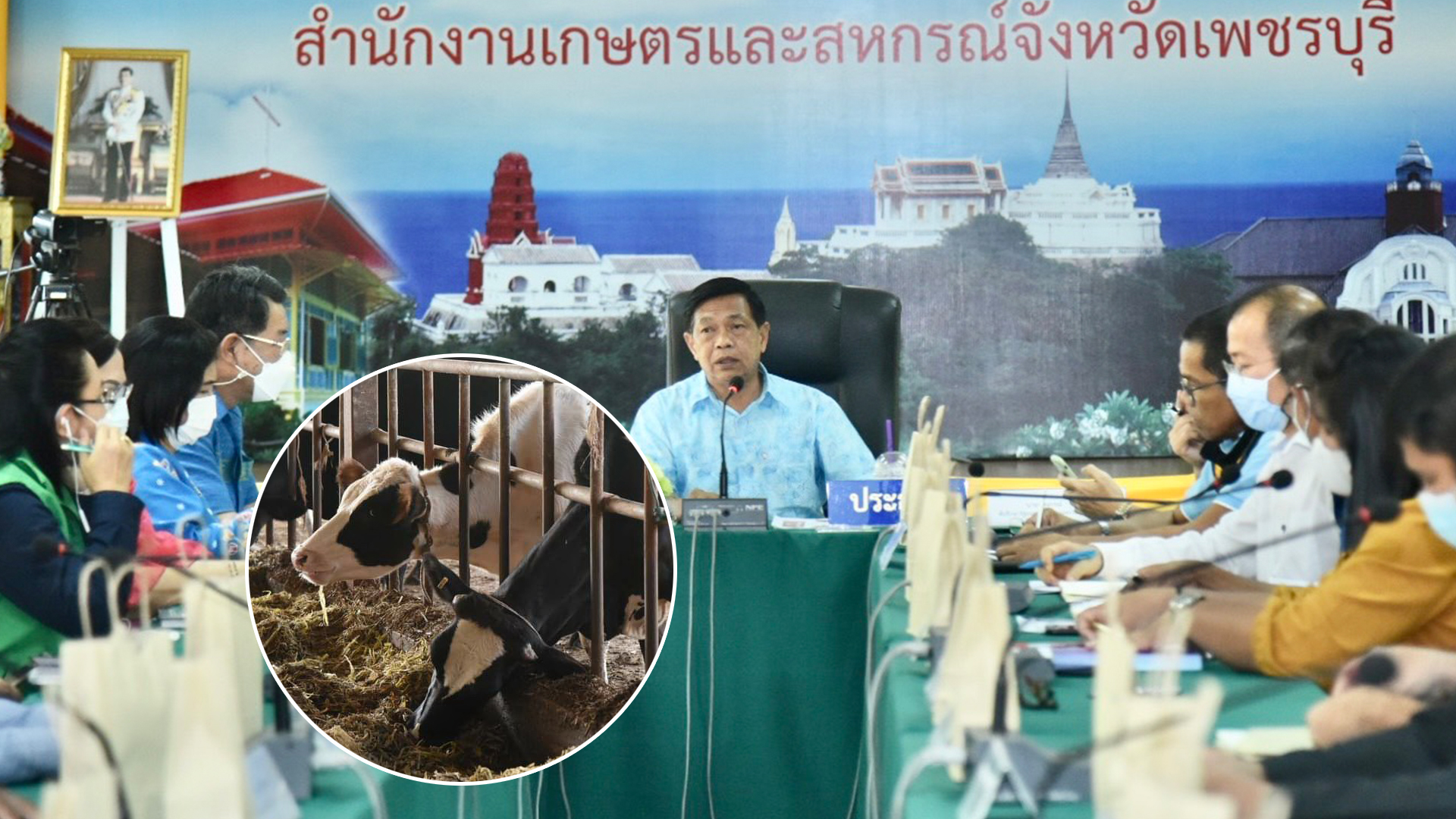 โควัวลาน3