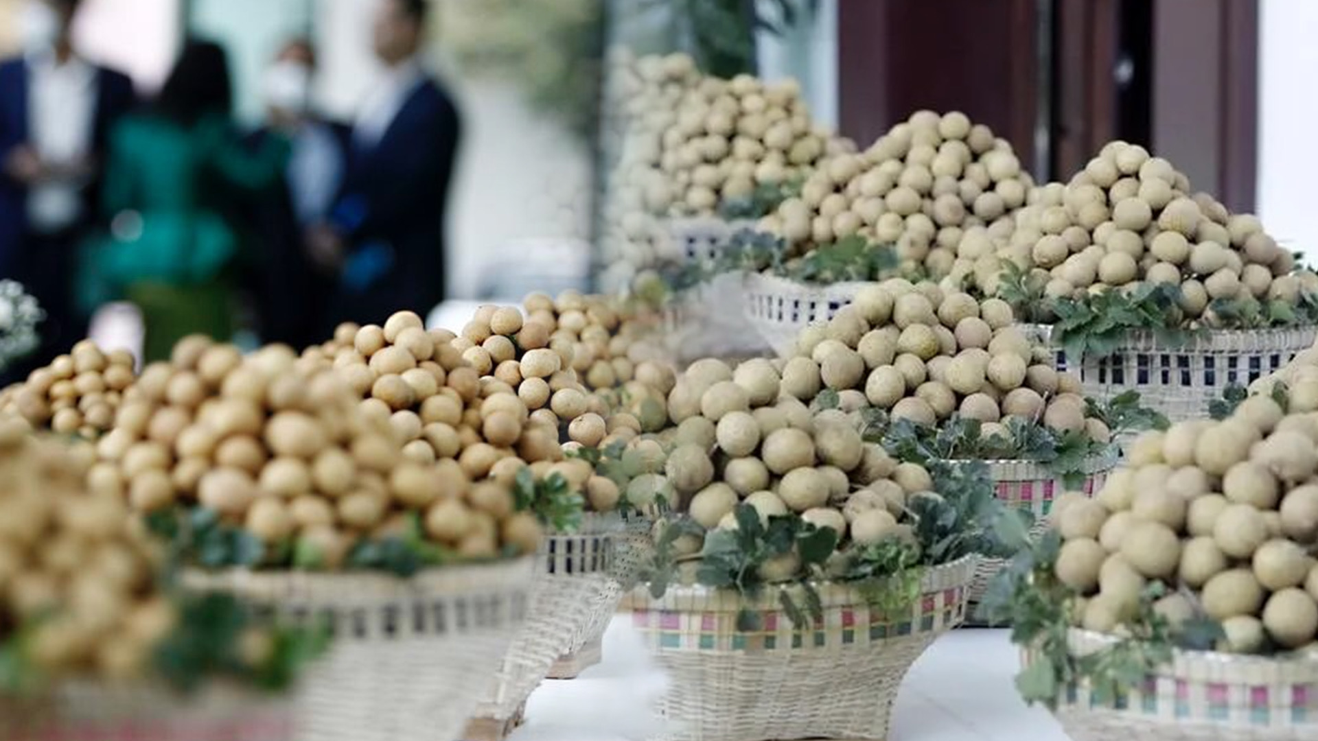 กัมพูชาส่งออก 'ลำไย' ป้อนตลาดจีน ทะลุ 2,600 ตัน 1 19917FE2 A2AE 496C 8AA4 A556E0B2A9CA