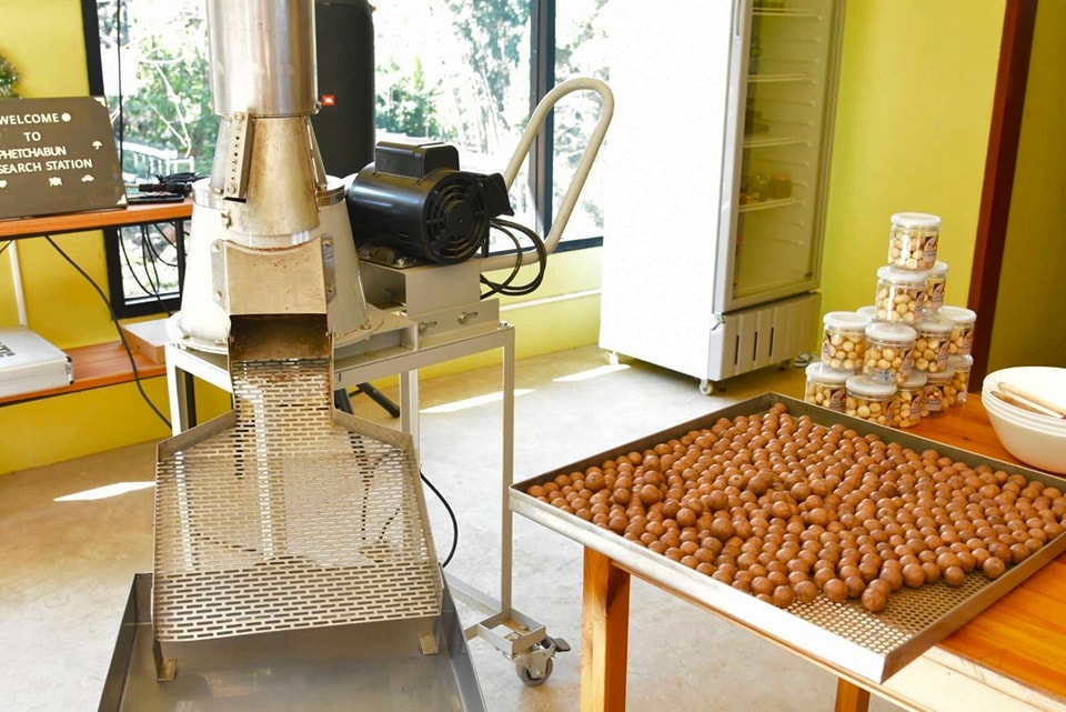 วช.ชู นวัตกรรมเครื่องสีเปลือกแมคคาเดเมีย พืชเศรษฐกิจสู่การแปรรูปออกสู่ตลาดโลก 4 321849491 460329629623137 4223351370900058091 n