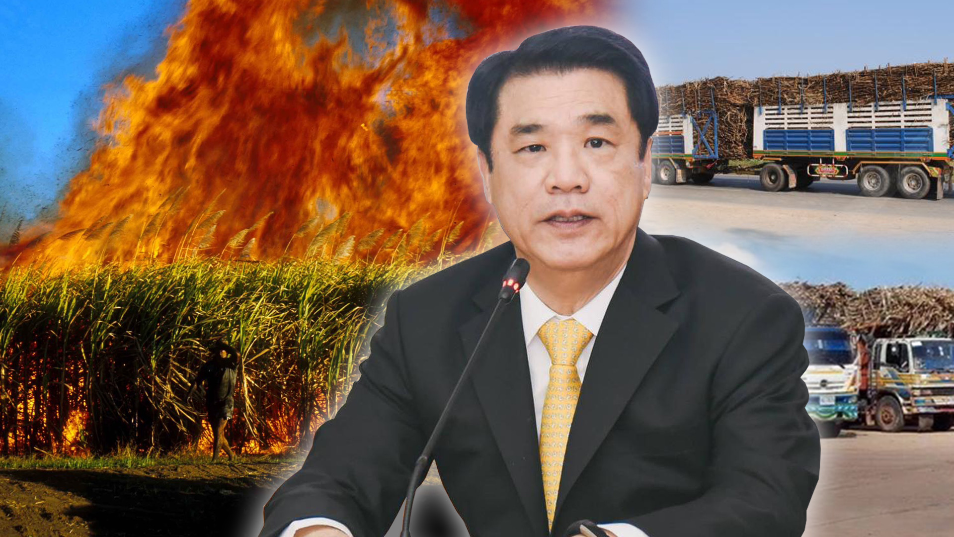 “สุริยะ”ลั่นใครลอบเผาอ้อย สั่งโรงงานน้ำตาลห้ามรับเข้าหีบ 1 4550C111 8F39 4C9C A784 2A6625F6890B