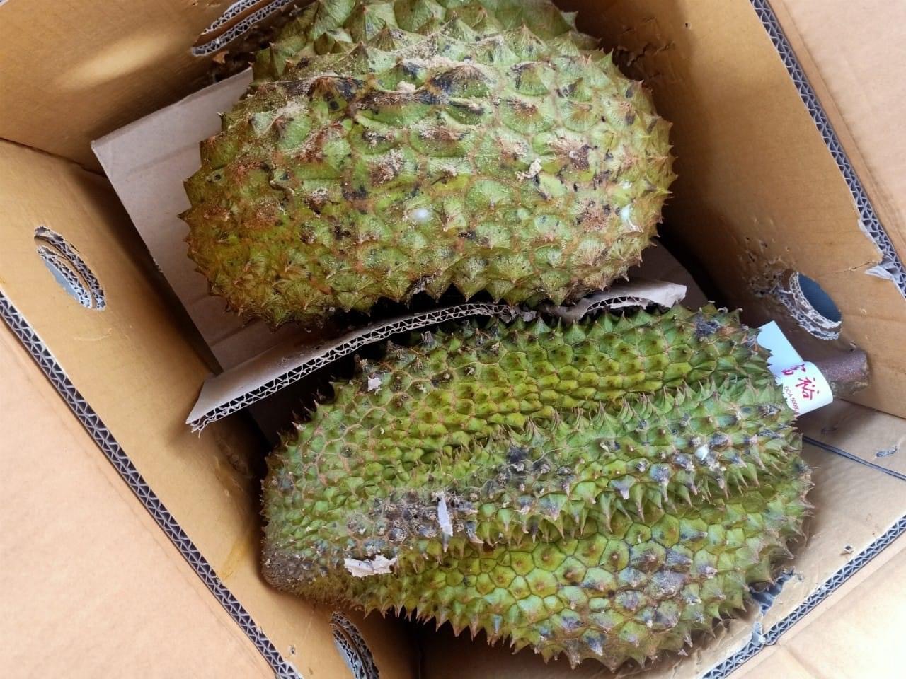 BB356C9A 3856 4C56 AA27 487662CB457D