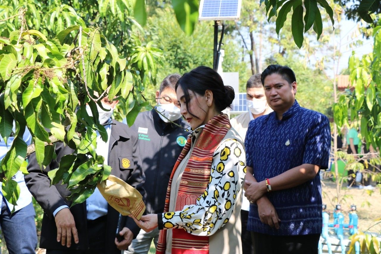 ‘มนัญญา’ลงพื้นที่ติดตามงานตามนโยบาย จ.พิษณุโลก เน้นย้ำเกษตรกรผลิตสินค้าส่งออกให้ได้คุณภาพมาตรฐาน GAP 2 C0CFC875 87D3 43BF B56B C1E6F6A3CD93