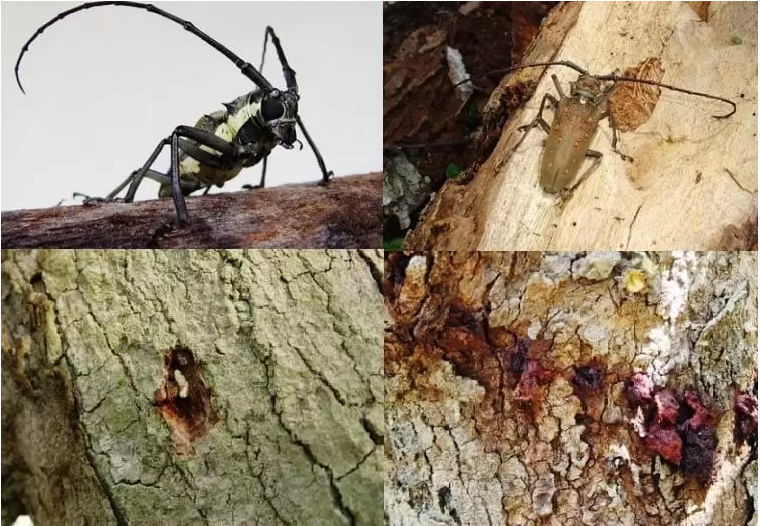 capture 20221228 231921