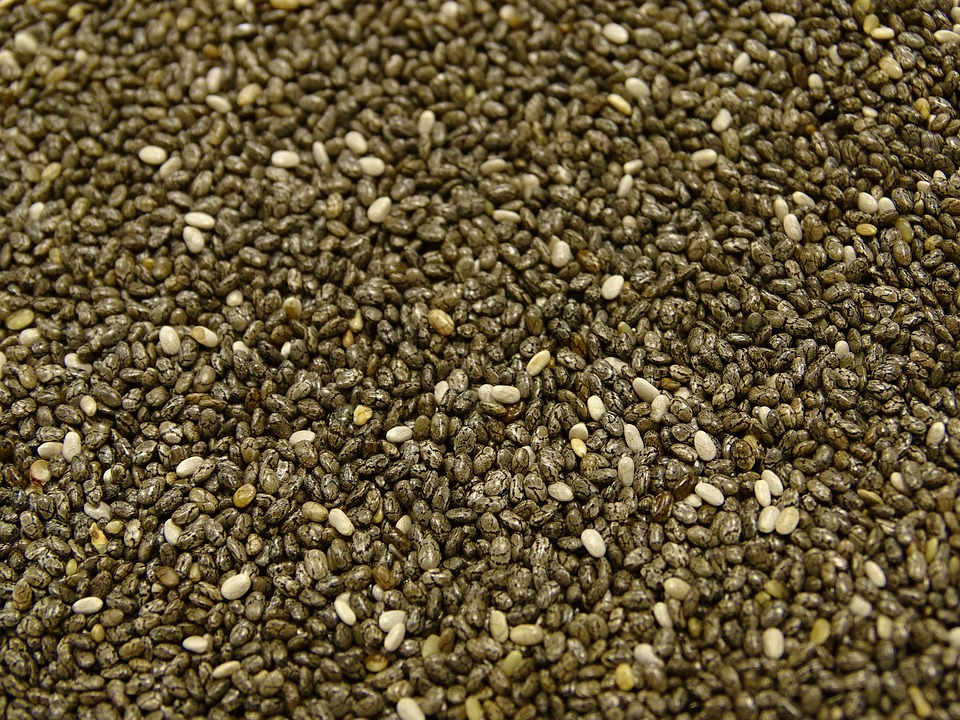 chia 1778083 960 720