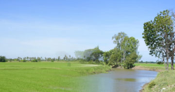 กลม