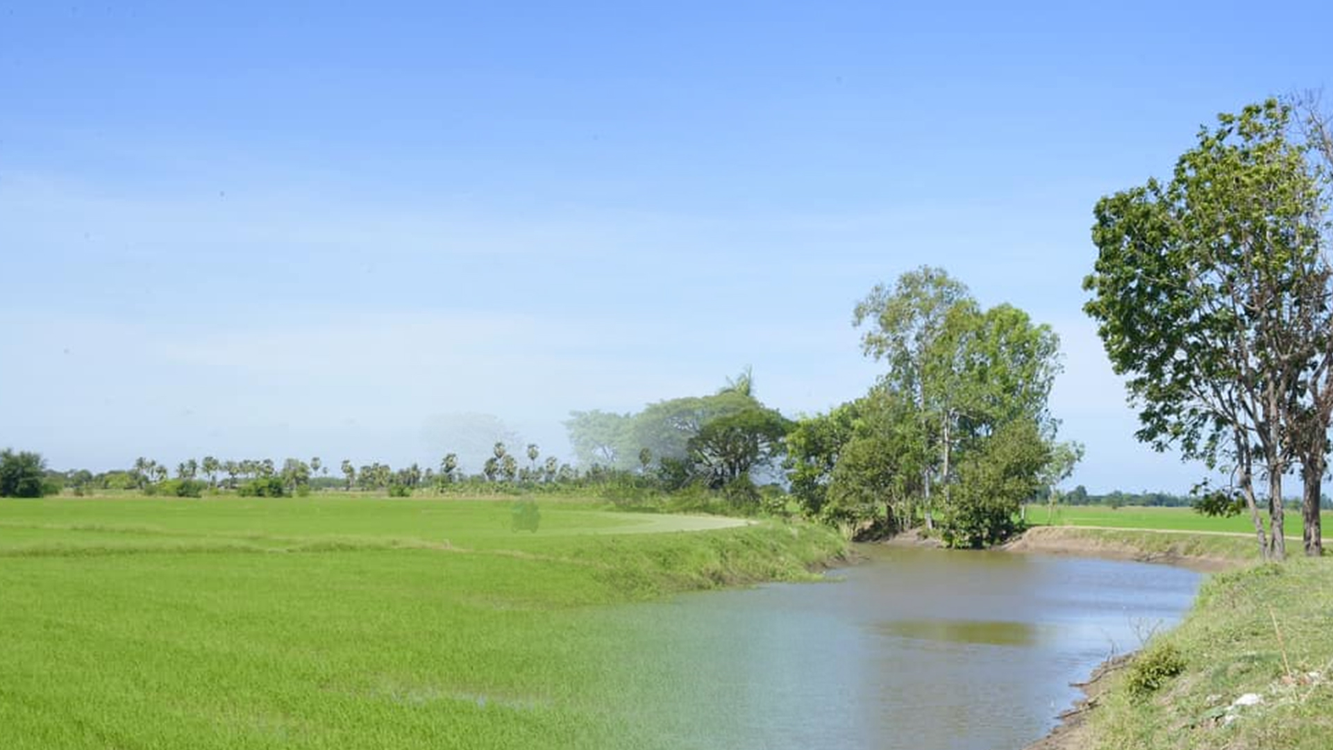 กลม