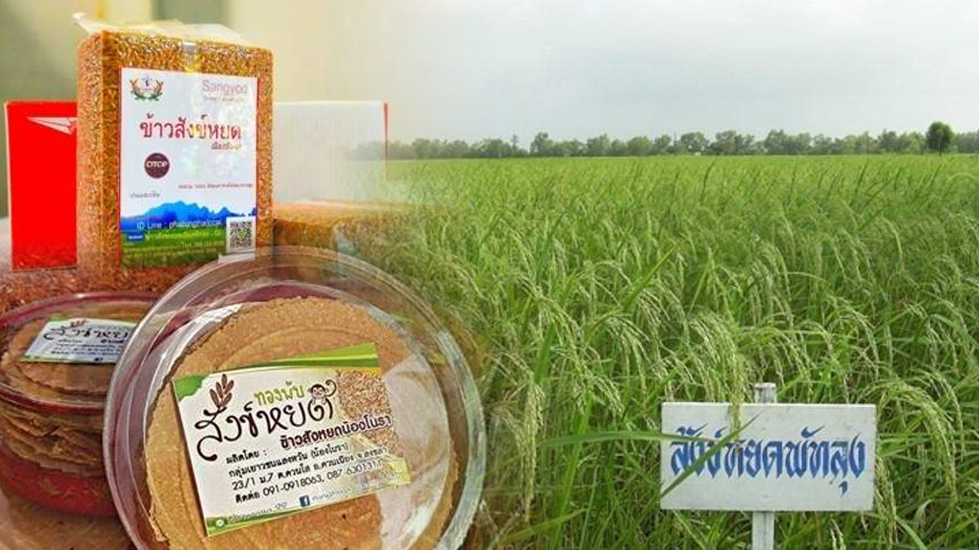 ข้าว 2