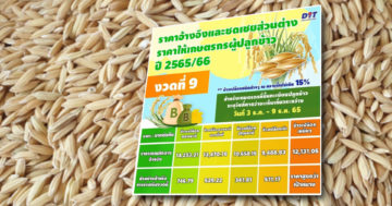 ข้าว