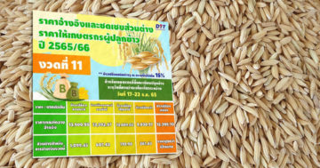 ค่าส่วนต่างข้าว3