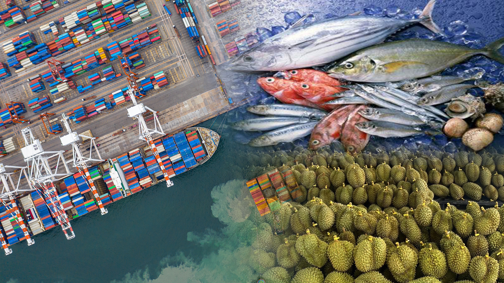 เสือติดปีก เมืองท่าชินโจว สร้างฐานโลจิสติกส์ห่วงโซ่ความเย็น รองรับสินค้าเกษตรนำเข้าจากอาเซียน โอกาสสินค้าเกษตรไทย 1 ท่า