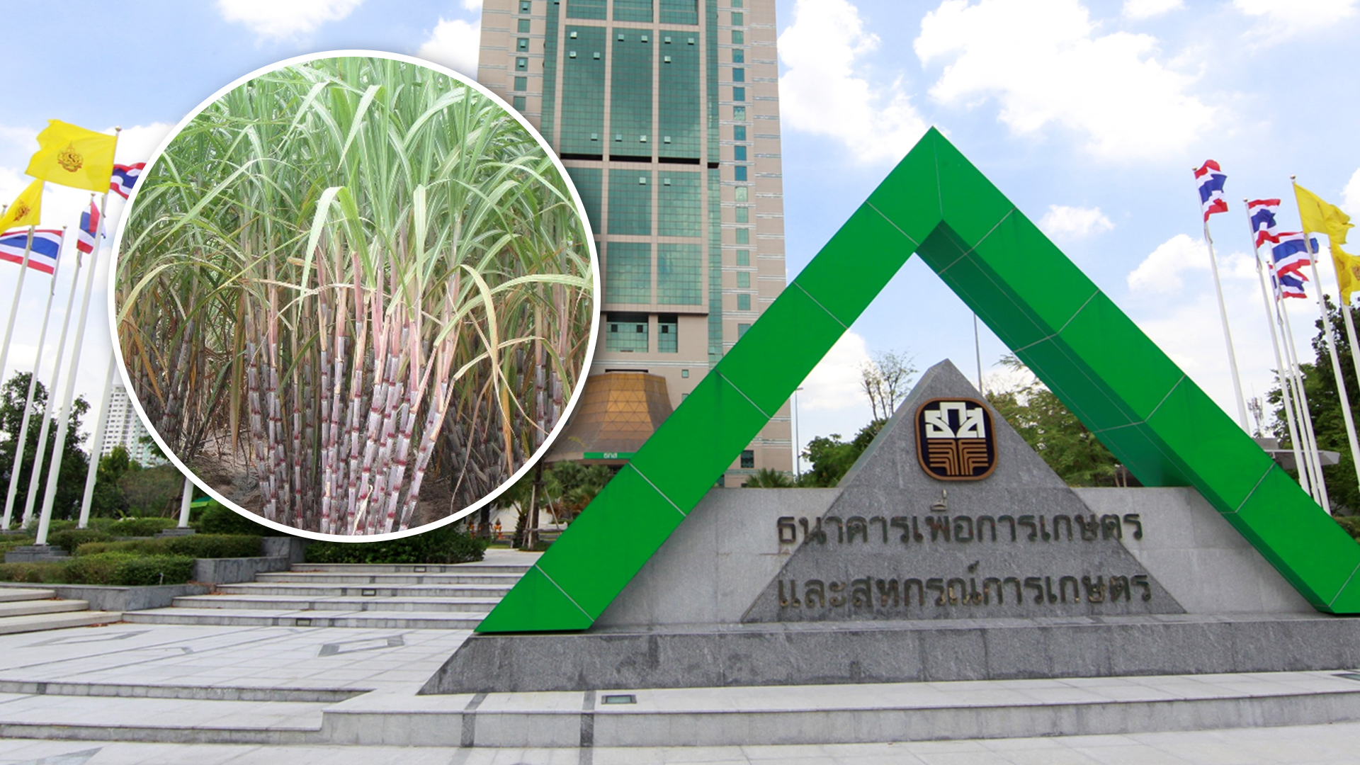 ธกส