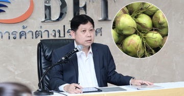 นำเข้ามะพร้าว3