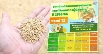 ราคา