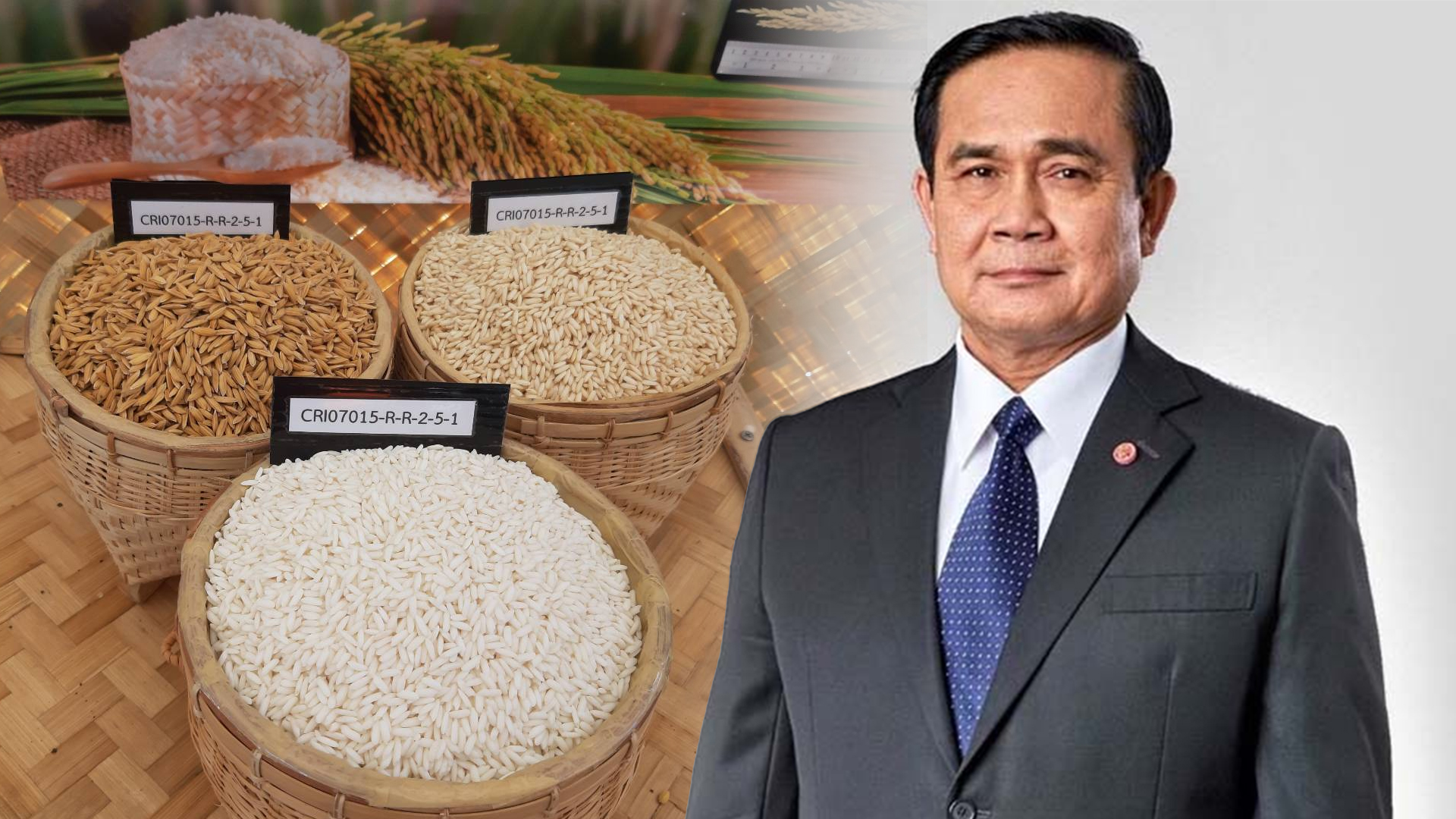 นายกฯ ชื่นชม “การผลิตข้าวยั่งยืน” นำร่องวิถีทำนารูปแบบใหม่ ลดก๊าซเรือนกระจก เป็นมิตรต่อสิ่งแวดล้อม 1 ลุง