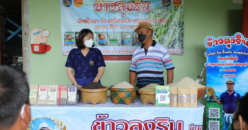 วาริน3