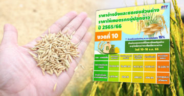 ส่วนต่างข้าว3