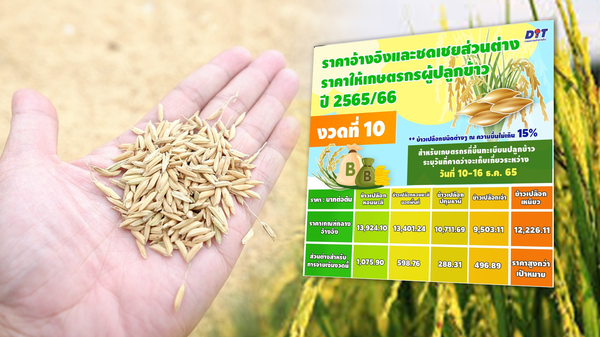 ส่วนต่างข้าว3