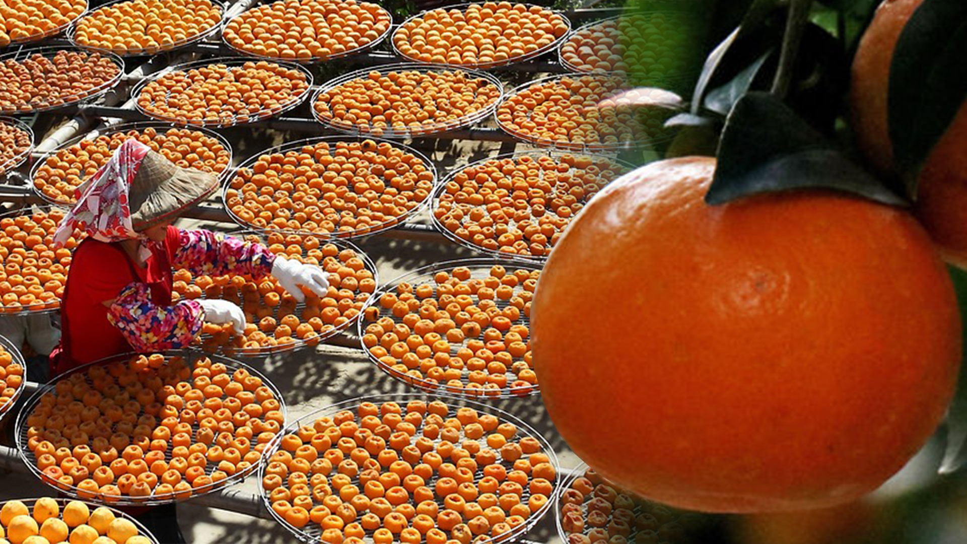 ส้ม3