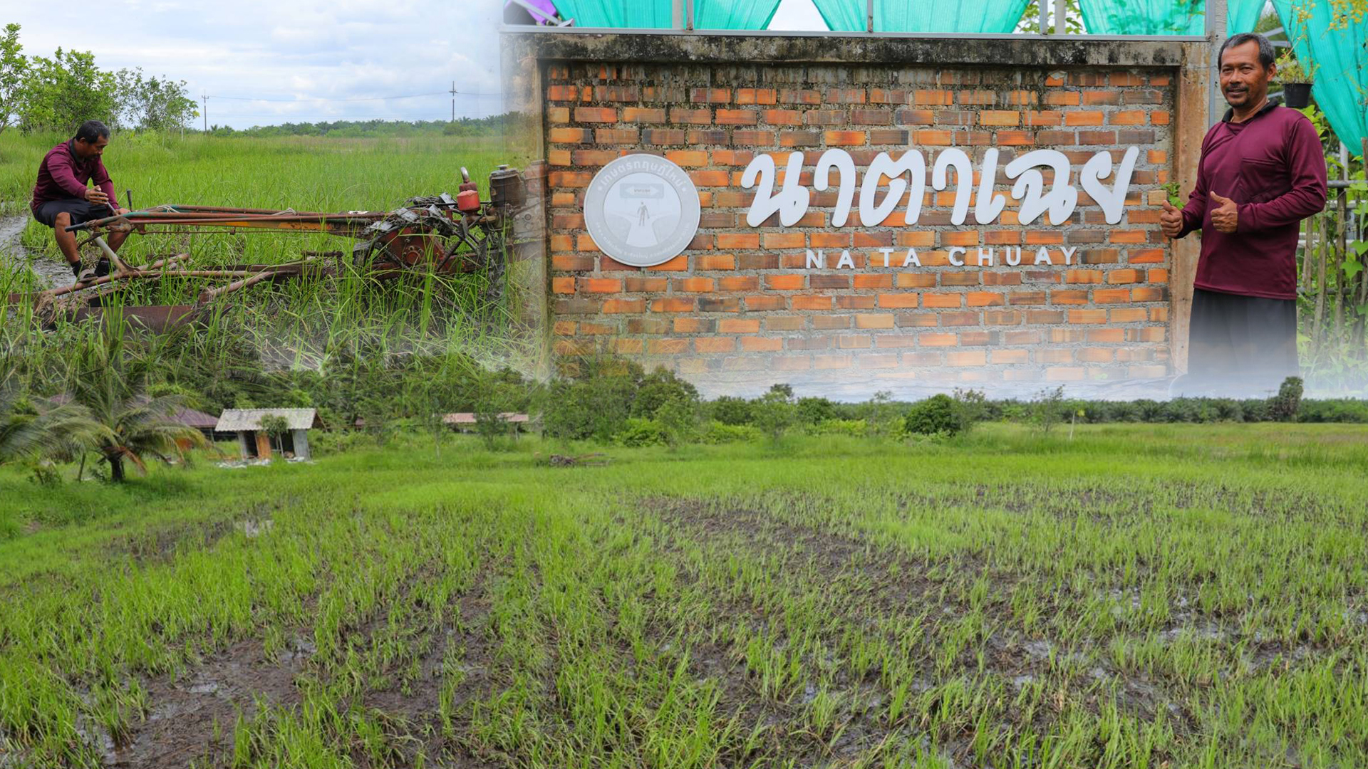 เกษตรเชิงท่องเที่ยว3