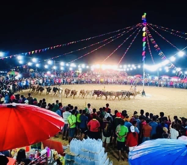 เปิดแผนพัฒนาโคพื้นเมือง เปิดแข่ง“วัวลาน”เพชรบุรีสนามแรกรับปีใหม่ พร้อมเร่งตั้งสมาคมกีฬาวัวลาน 2 70D21C5B D3A5 4A69 898D 136352661597