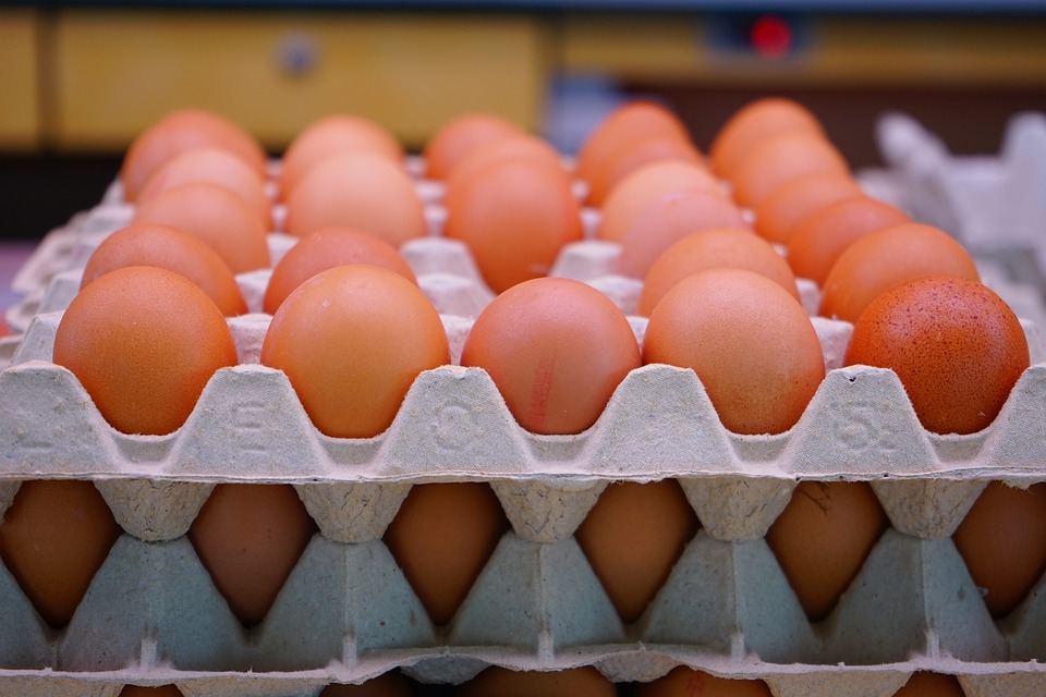 egg 318227 960 720 1