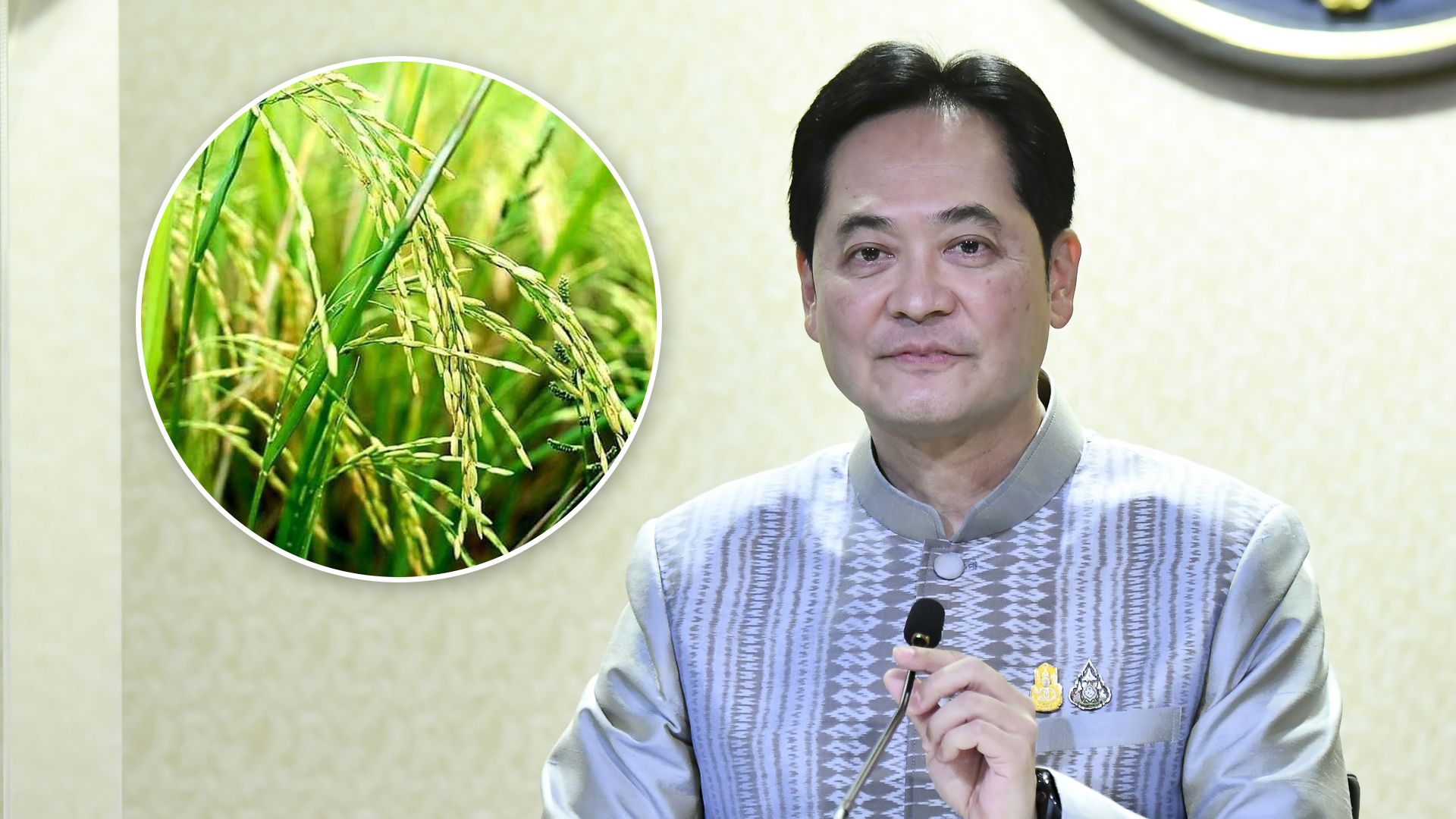 โฆษกรัฐบาลเผย นายกฯ ดูแลเกษตรกรไทย ช่วยผลักดันสินค้าเกษตรราคาสูงขึ้น เพิ่มรายได้เกษตรกร 1 ข้าว