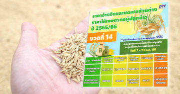 ชดเชย3 1