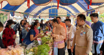 ผัก 2