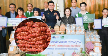 พืชสามหัว3