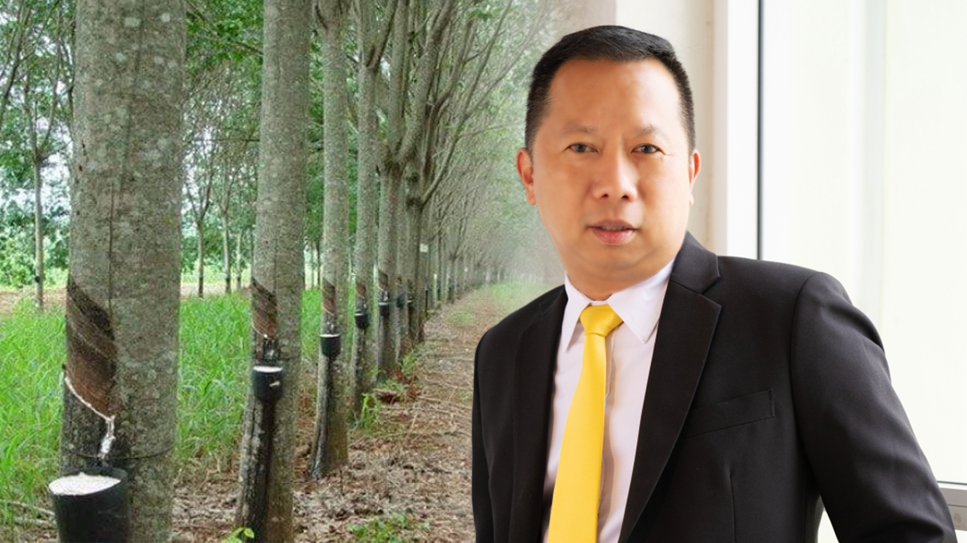 กยท.หนุนทำสวนยางมาตรฐาน FSC™ พร้อมจัดช่องทางขายผ่านตลาดยาง มียอดออร์เดอร์แล้ว กว่า 10,000 ตัน 1 ยาง