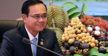 สินค้าเกษตร3 1