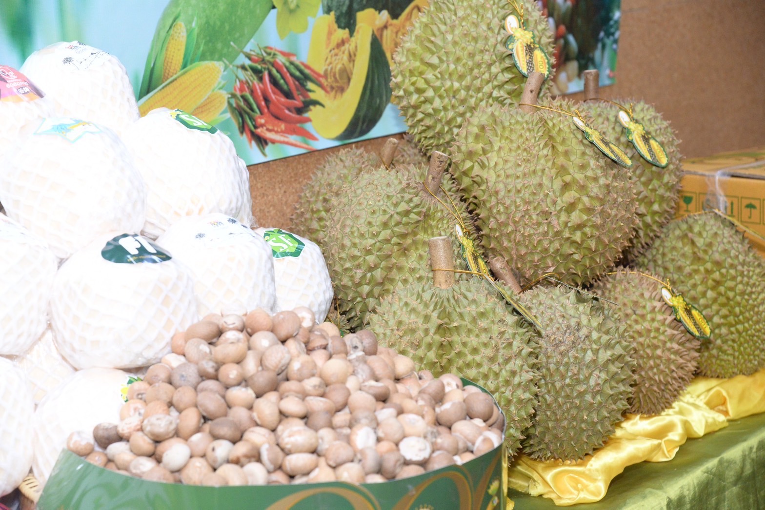 ประภัตร เป็นสักขีพยานความร่วมมือการส่งออกทุเรียนไปจีน ระหว่าง บ. ควีนโฟรเซ่นฟรุตฯกับ Tsinghua Uniresource Company เพื่อเพิ่มช่องทางการส่งออกผลไม้ 4 328635831 617710883498806 4192002327667278568 n