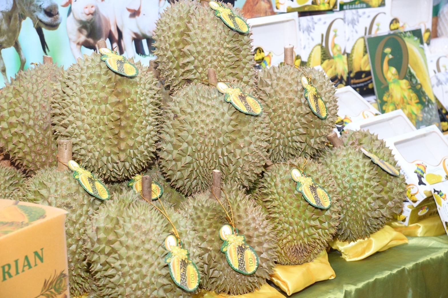 ประภัตร เป็นสักขีพยานความร่วมมือการส่งออกทุเรียนไปจีน ระหว่าง บ. ควีนโฟรเซ่นฟรุตฯกับ Tsinghua Uniresource Company เพื่อเพิ่มช่องทางการส่งออกผลไม้ 3 329108079 3561978667413970 7533534452091356188 n