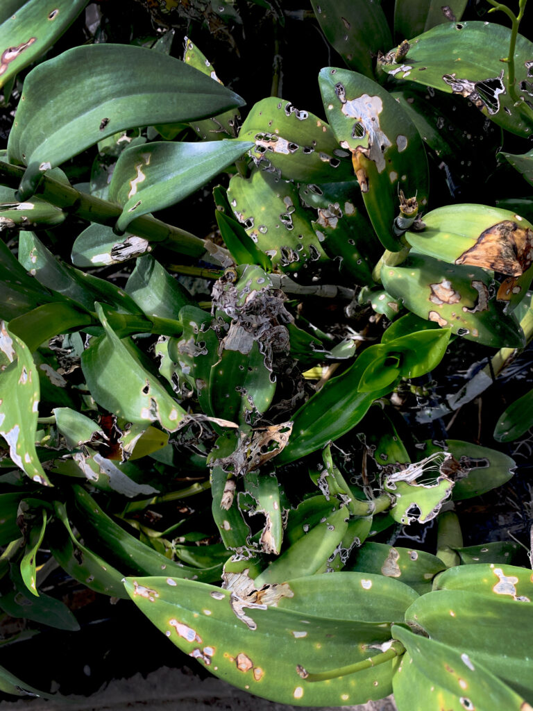 869E456F 3188 4412 9270 9CDBCAC3DF6E 768x1024 1