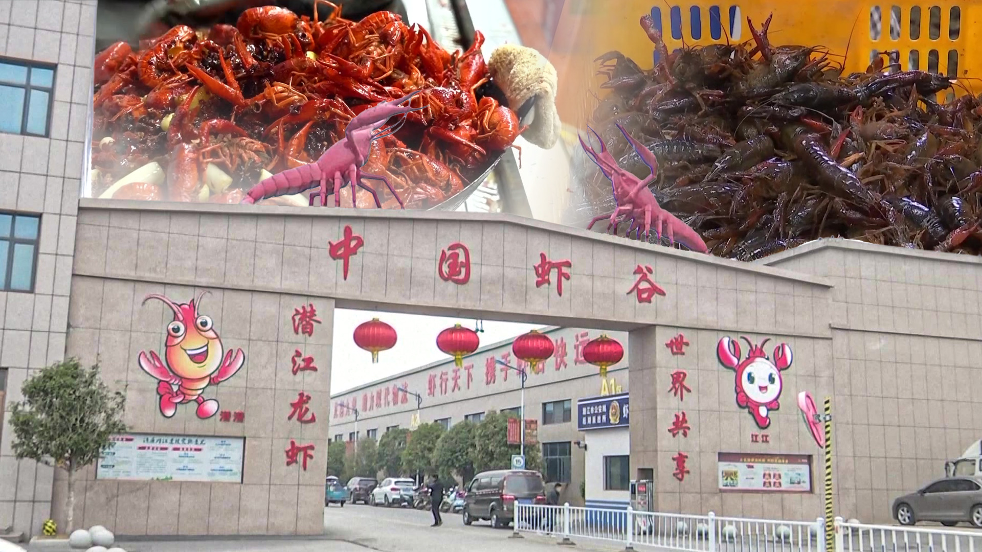 (มีคลิป)สิ้นสุดการรอคอย…พาชมฤดูแห่งการกิน”กุ้งเครย์ฟิช”มาถึงแล้ว 1 B611F4A6 3F0E 471B B942 4B7B51D7BFEE