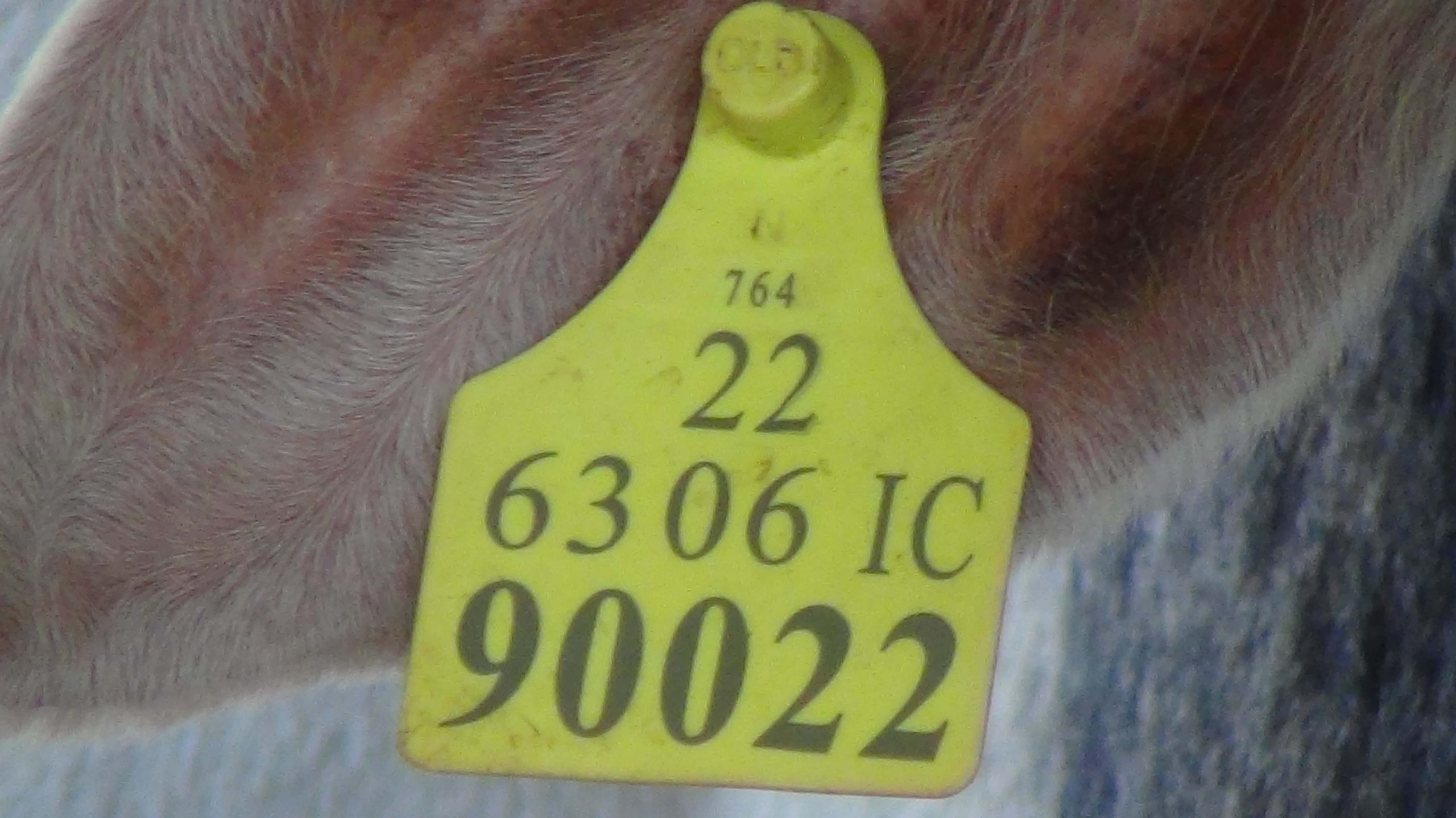 F83BDBD1 142A 4EDE A1C4 59F63A2712BB scaled