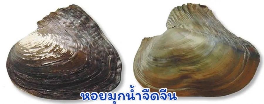 FB3E1DD0 1C37 478E 8207 010B84A30CD2