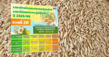 ชดเชย3