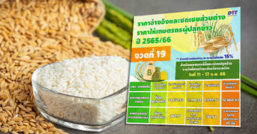 ชดเชยข้าว3 1
