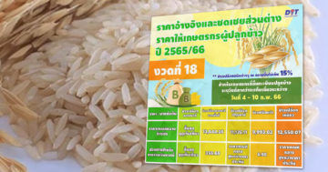 ชดเชยข้าว3