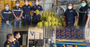 ทุเรียนส่งออก3