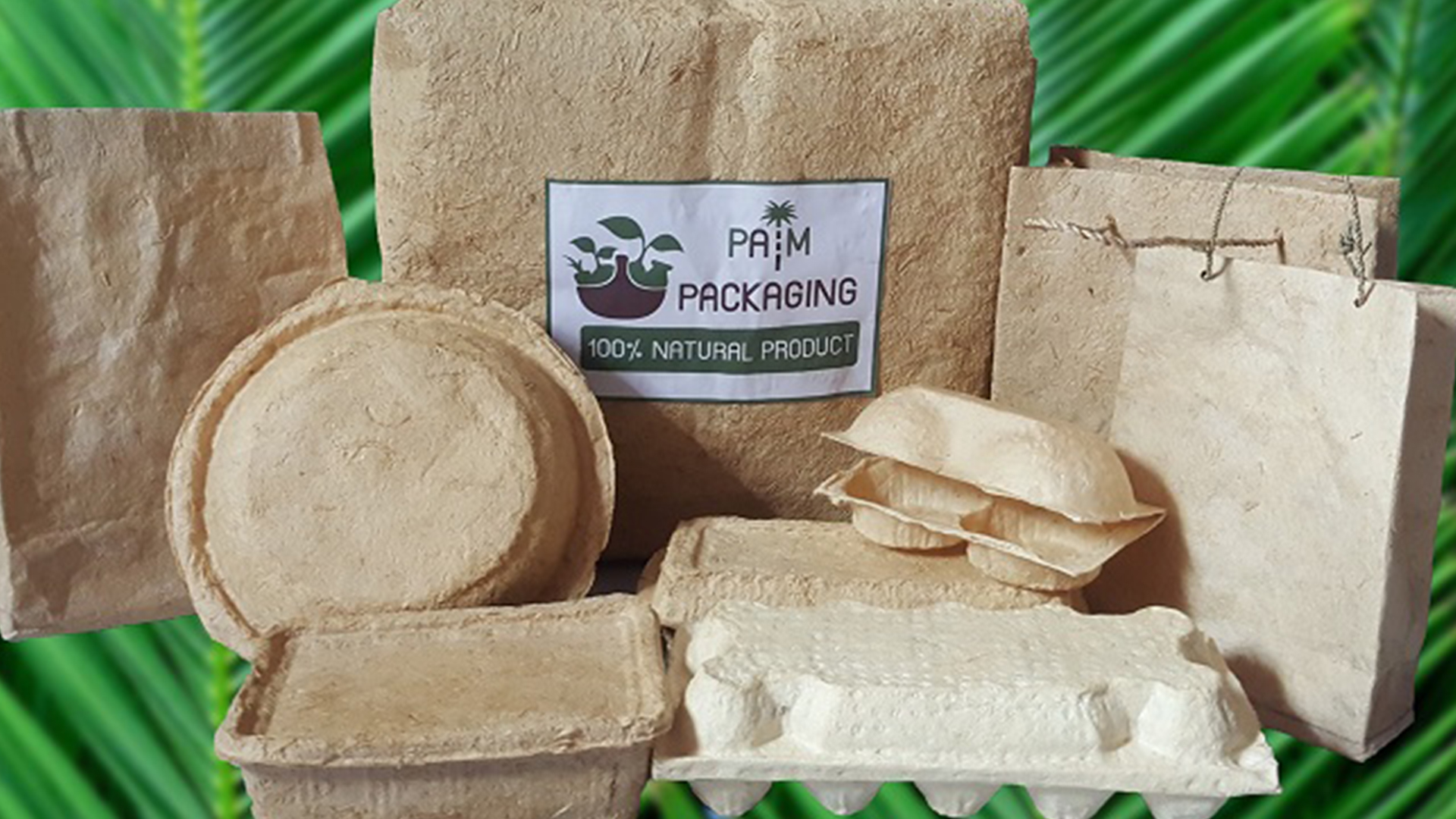 “บรรจุภัณฑ์”ผลิตจากทางปาล์มน้ำมัน สินค้า BCG โดดเด่นแก้ปัญหาสิ่งแวดล้อม เพิ่มรายได้เกษตรกร 1 บรรจุภัณฑ์3