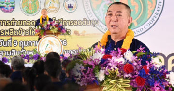 พี่ต่อ2