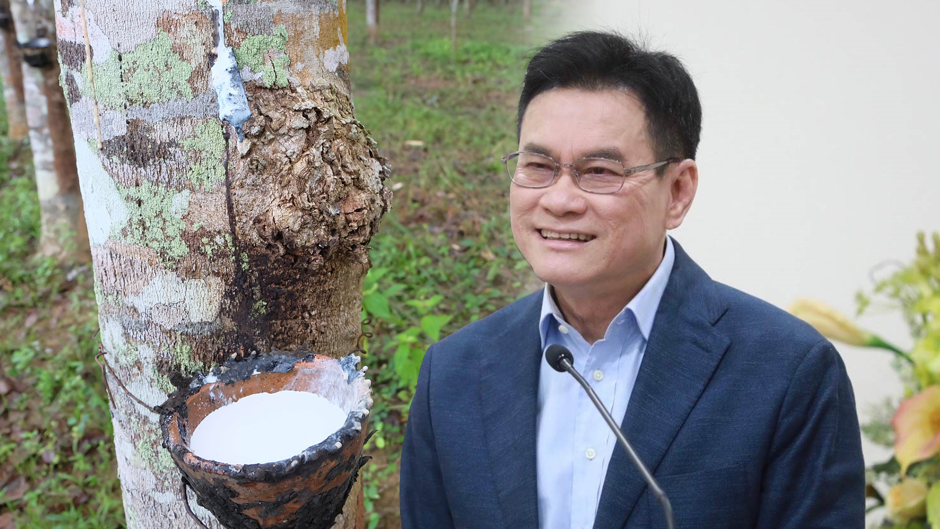 “จุรินทร์”เผยประกันรายได้ยางพาราปี 4 เตรียมเข้า ครม.แล้ว จ่ายเงินชดเชยส่วนต่างหลังไฟเขียว 1 รายได้ยาง3