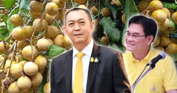 ลำไย3