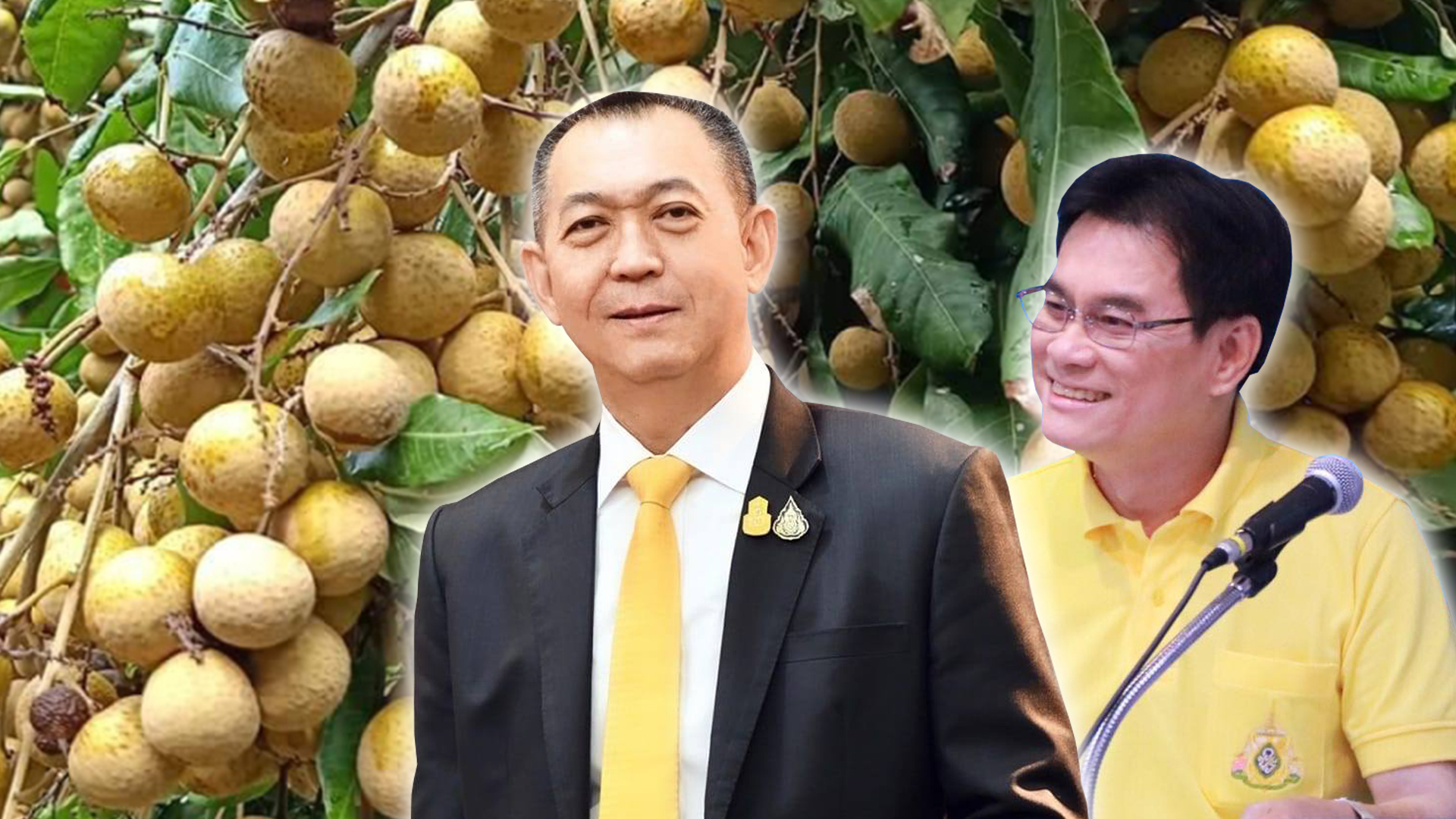 เกษตรกรลำไย มีเฮ จุรินทร์-เฉลิมชัย ผลักดันช่วยไร่ละ 2,000 บาท รายละไม่เกิน 25 ไร่ เซ็นงบเยียวยาจ่อเข้า ครม. 1 ลำไย3