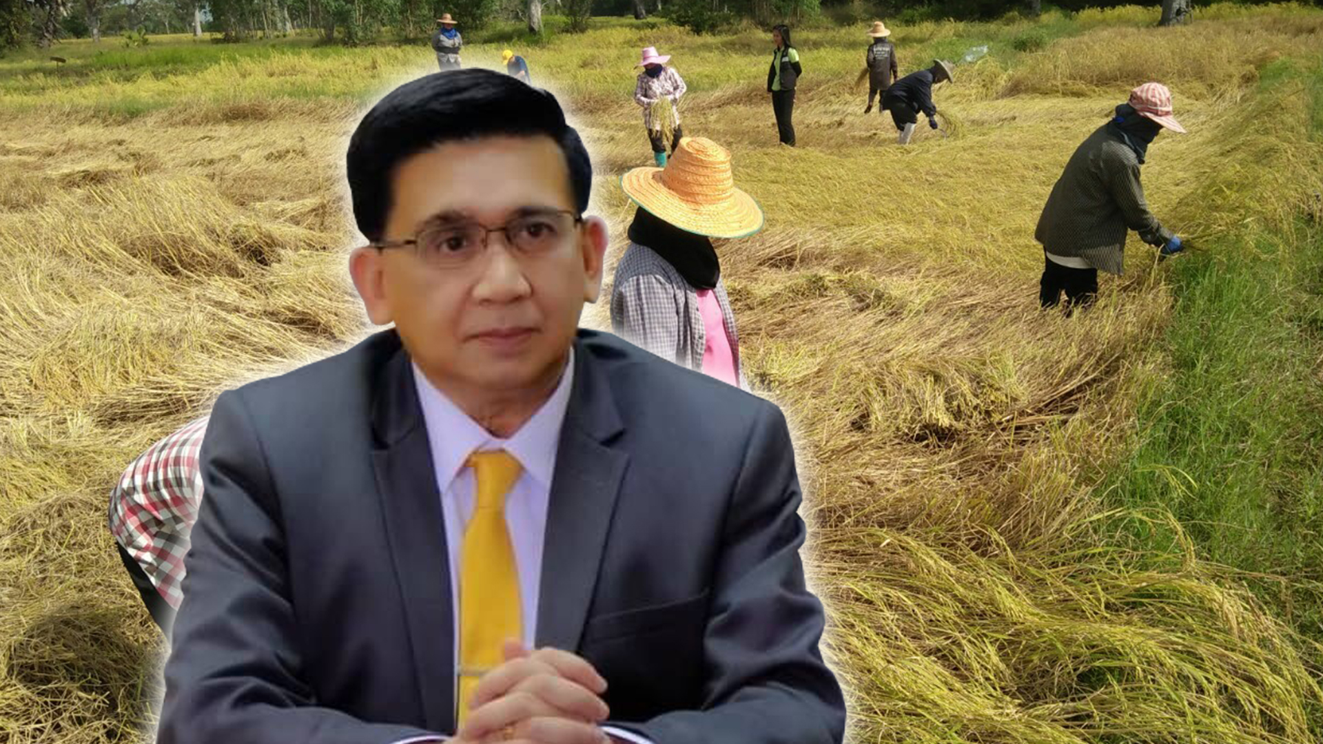 เกษตรเกาหลีใต้3