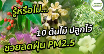 DF0BC048 C951 45BE 9D78 692099FF6CF2